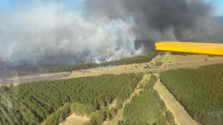 Rige la emergencia agropecuaria para sector forestal de Corrientes afectado por incendios rurales