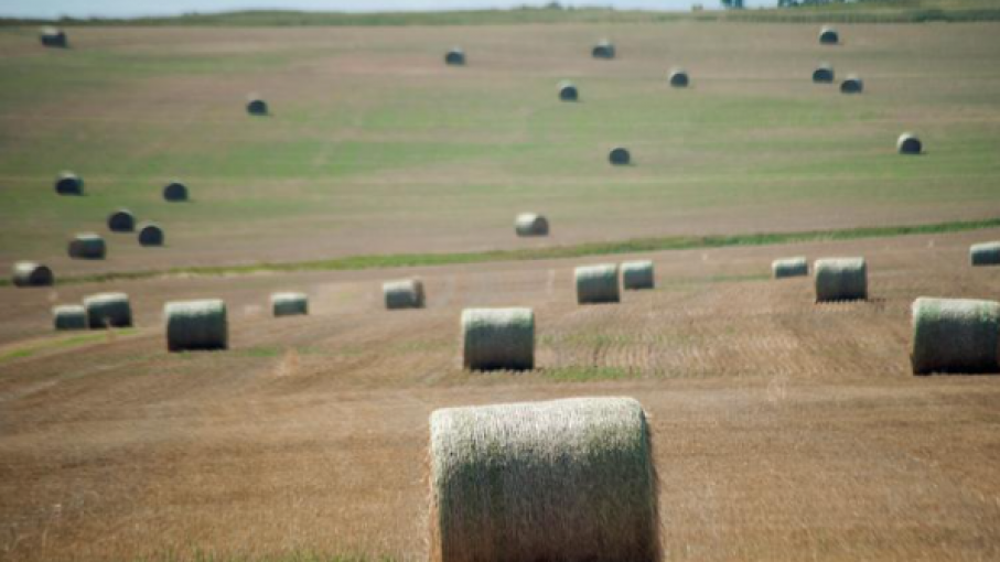 Agricultores norteamericanos nerviosos dispuestos a 'sembrar con fe'