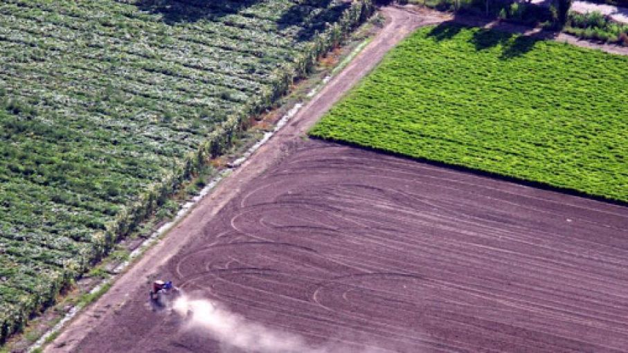 Difundieron datos definitivos del Censo Agropecuario 2018