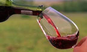 El Malbec afianza su posicionamiento como el varietal más exportado de Argentina