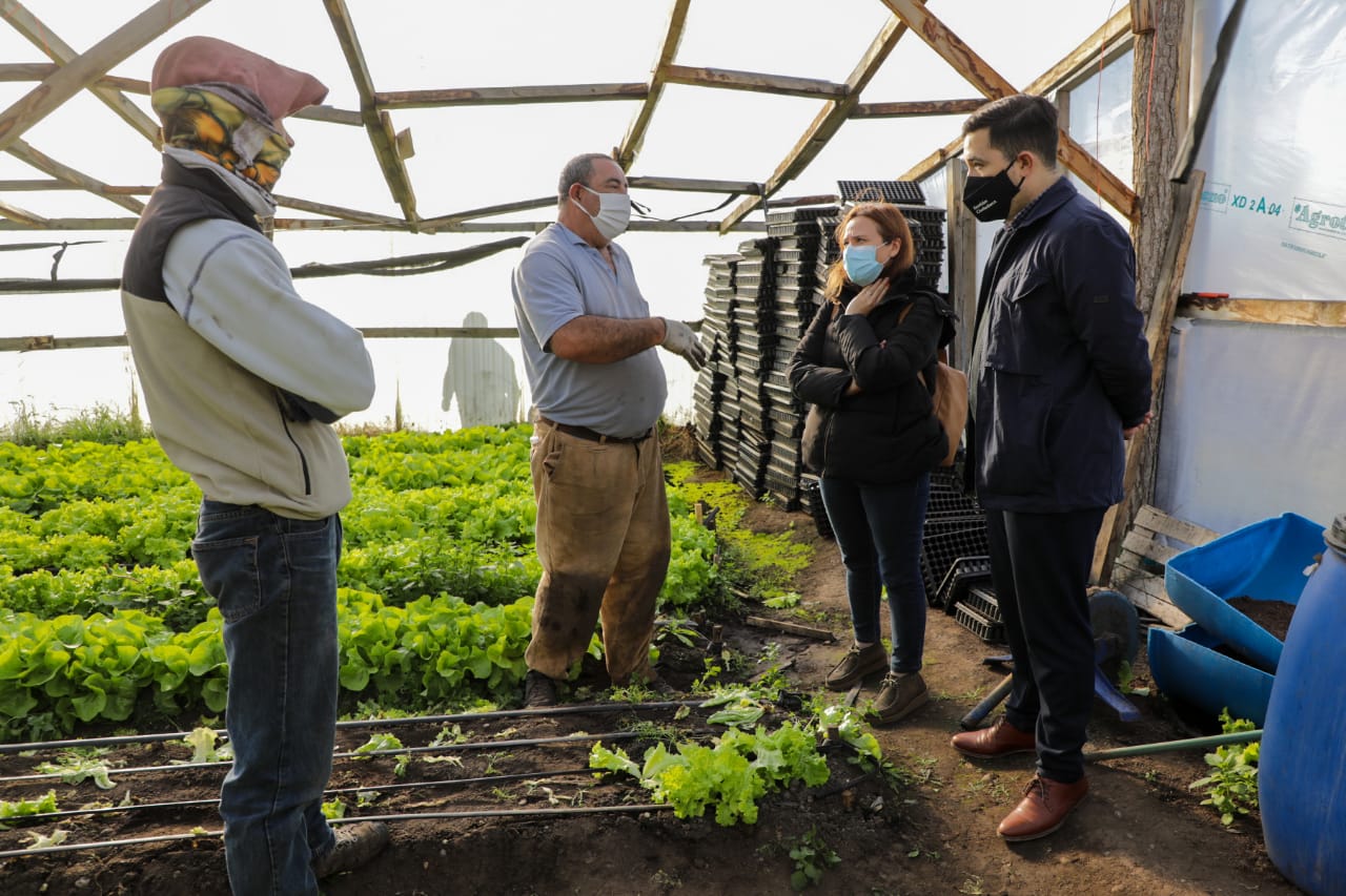 Buscan fortalecer trabajo de pequeños y medianos productores agroalimentarios