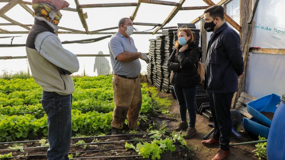 Buscan fortalecer trabajo de pequeos y medianos productores agroalimentarios