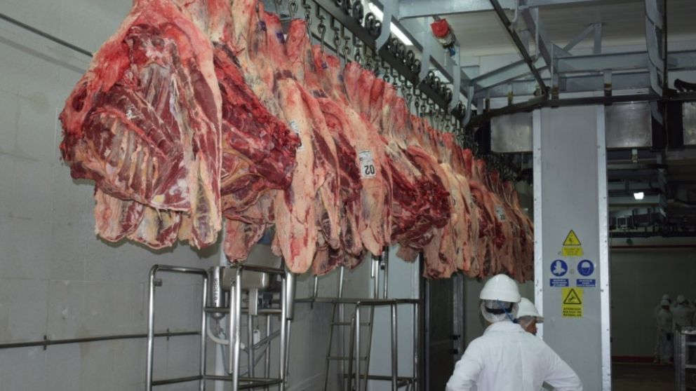 "El troceo impactar positivamente en los precios de cada corte"