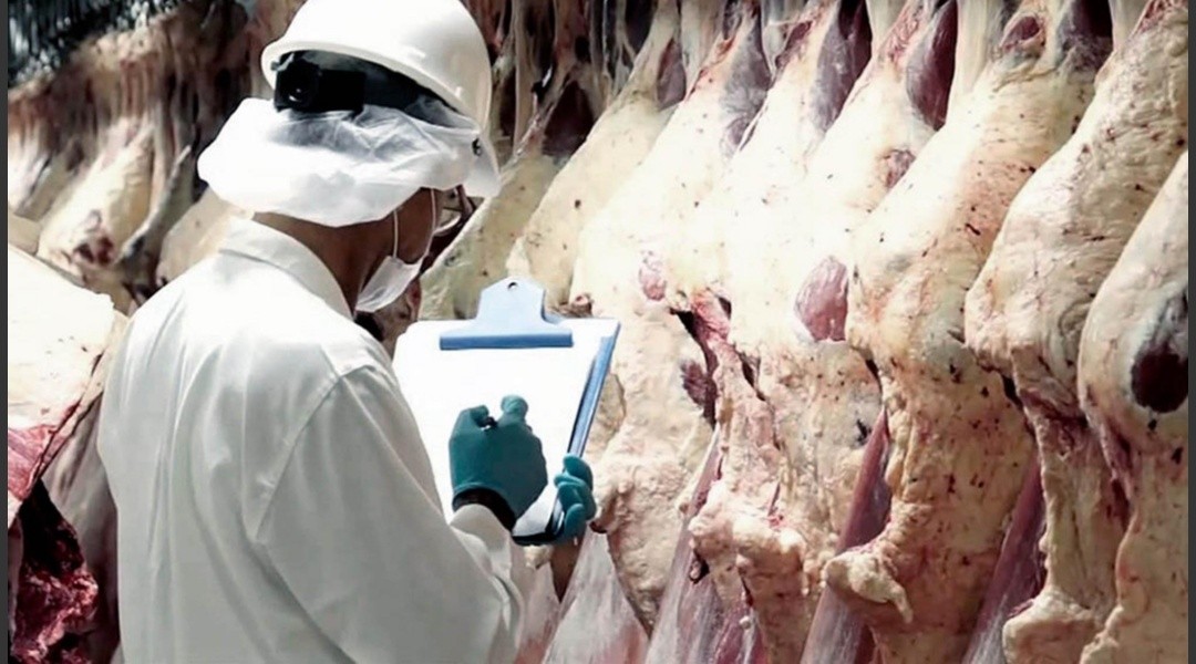 Crecieron en marzo las exportaciones de carne por recuperación de la demanda china