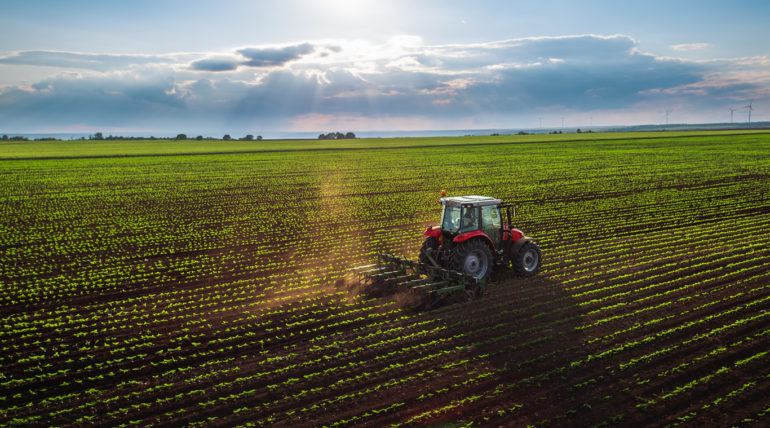 Condiciones climáticas favorables permiten retomar la cosecha agrícola en el centro del país