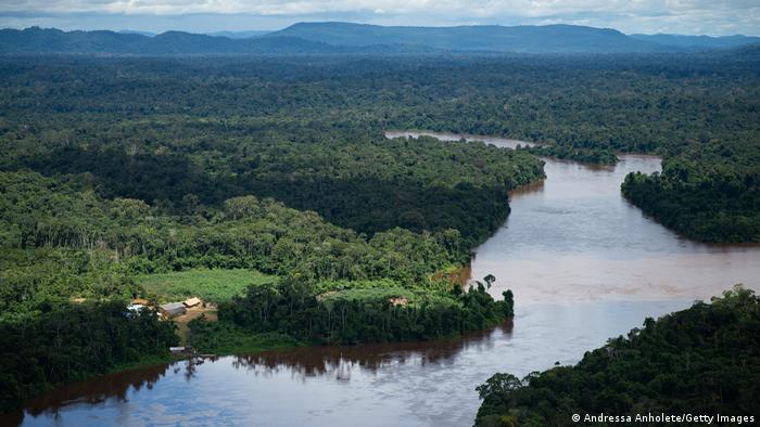 Bosques de Amazonia emitieron más carbono del que absorbieron