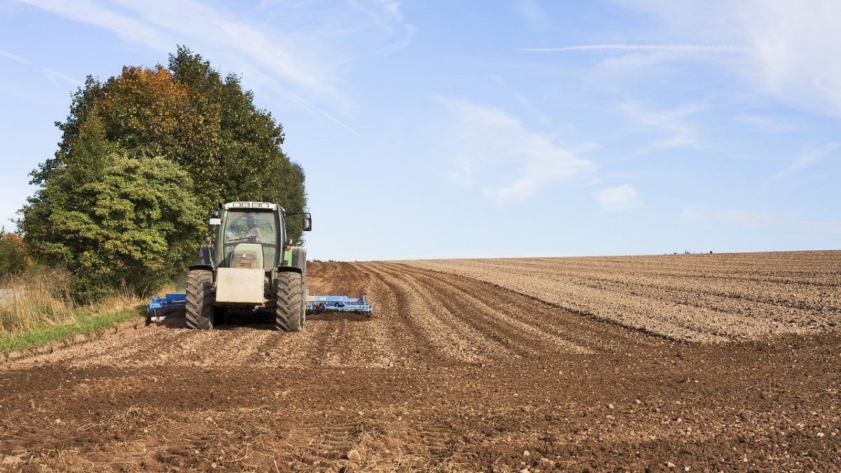 Destinarán $10.000 millones en créditos a pequeños productores agropecuarios