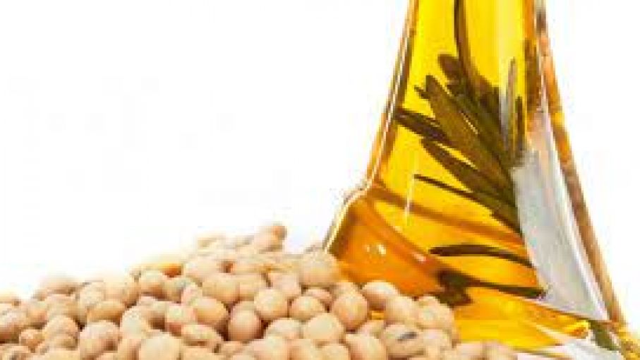 Récord en liquidación de divisas en envíos de aceite y granos