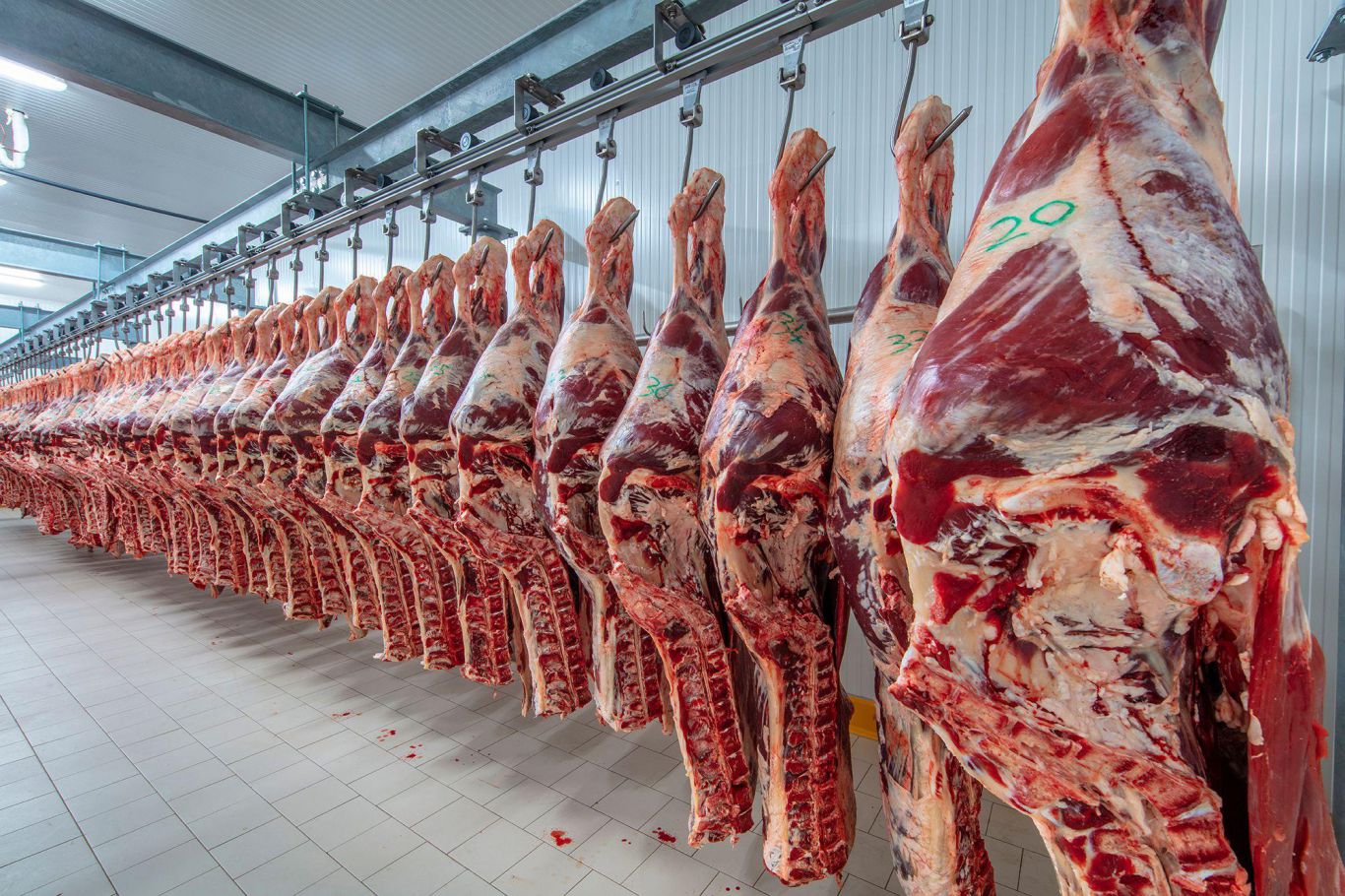Alerta en el campo por una fuerte caída de las exportaciones de carne a China por la política de "Covid 0"