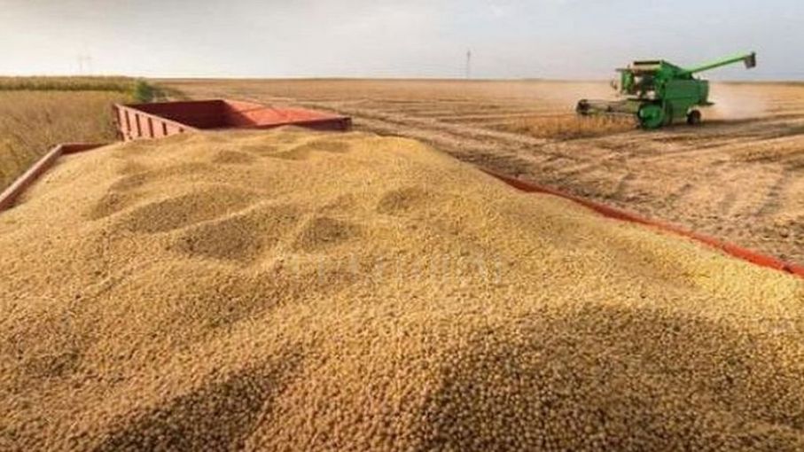 La cadena de la soja comparte propuesta de alcanzar una producción de 70 millones de toneladas