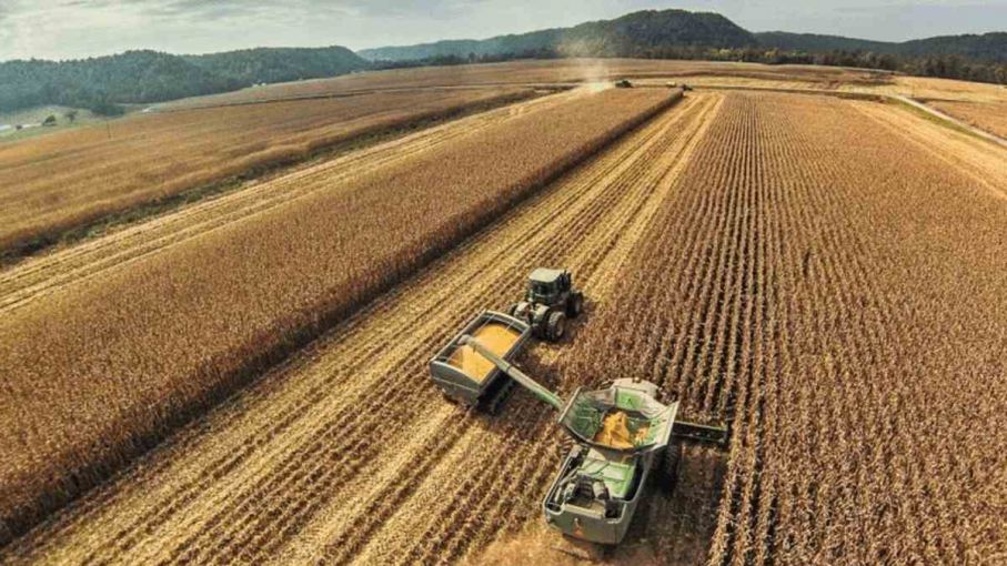 Cuántos dólares recibe un productor en Argentina, Uruguay, Brasil, Paraguay y Estados Unidos por cada tonelada de soja que vende