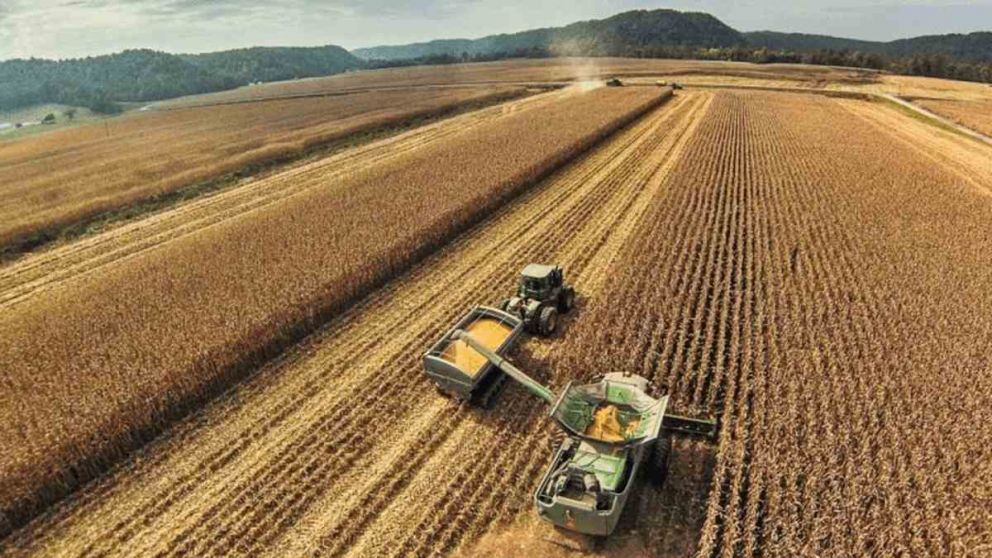 Cuntos dlares recibe un productor en Argentina, Uruguay, Brasil, Paraguay y Estados Unidos por cada tonelada de soja que vende