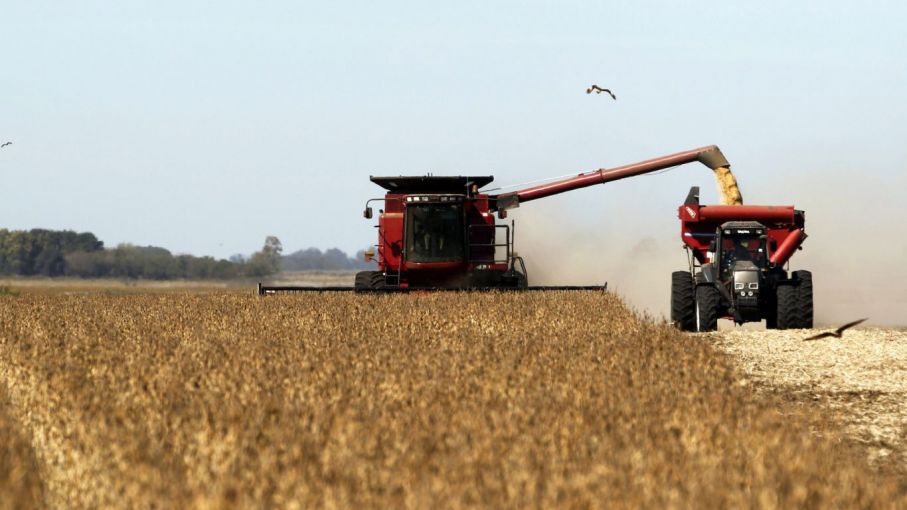 La cosecha de soja ya abarca al 77,6% del área sembrada
