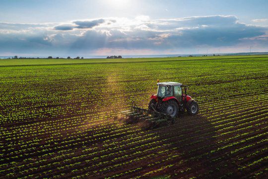 Serán automáticos los beneficios para los productores afectados por la sequía
