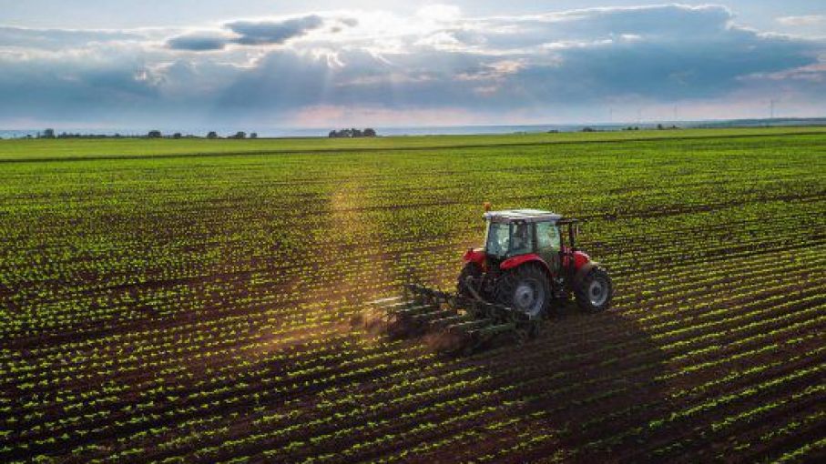 Serán automáticos los beneficios para los productores afectados por la sequía