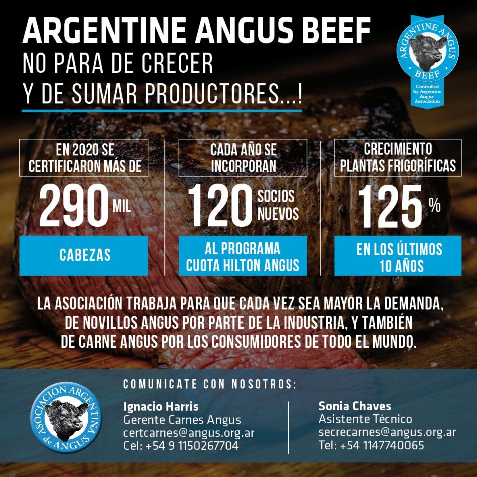 Angus certificó en 2020 más de 290 mil cabezas para exportación
