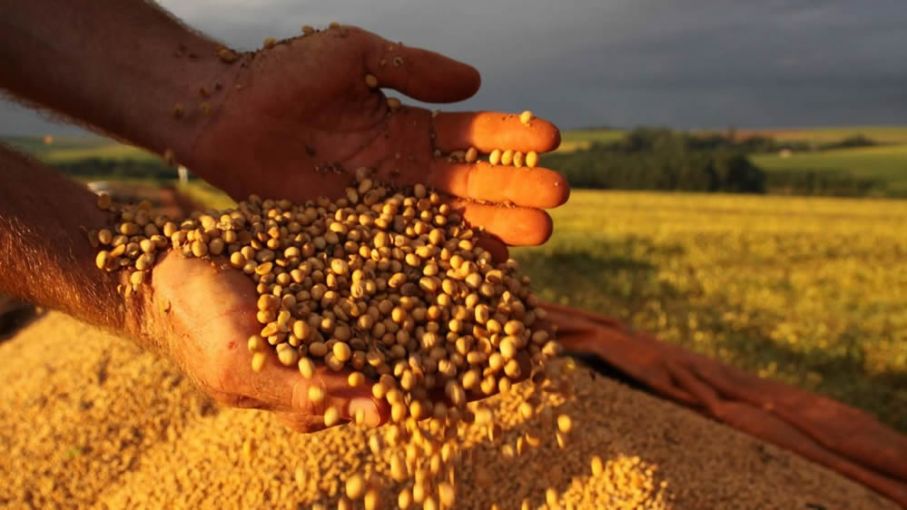 Estados Unidos proyecta escasez de suministros de soja y maíz incluso después de la cosecha