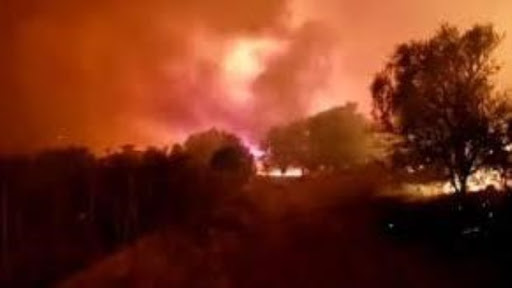 Entregan nuevos recursos para las provincias afectadas por incendios