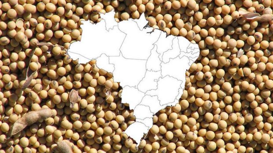 Brasil vende la mayor cantidad de soja a Estados Unidos desde 2014