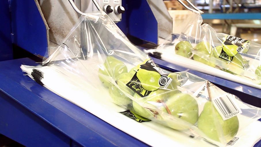 Exportadora de frutas emitió la mayor ON Simple, por $206 millones