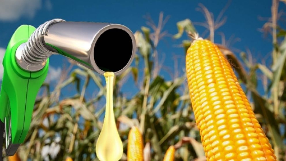 El uso de maz para etanol en Brasil podra alcanzar 30 millones de toneladas en 2024/25