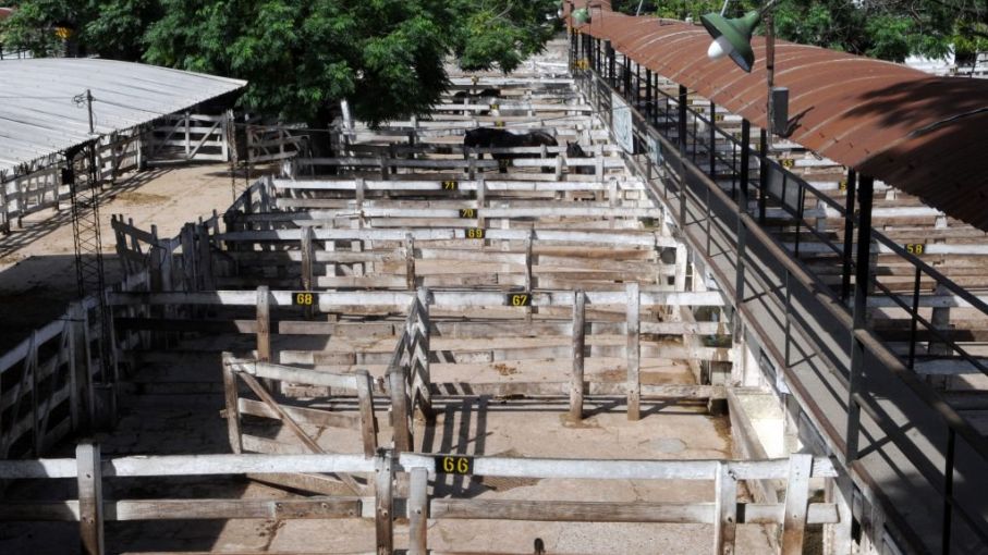 Comenzó protesta de la Mesa de Enlace por cierre transitorio de exportación de carnes