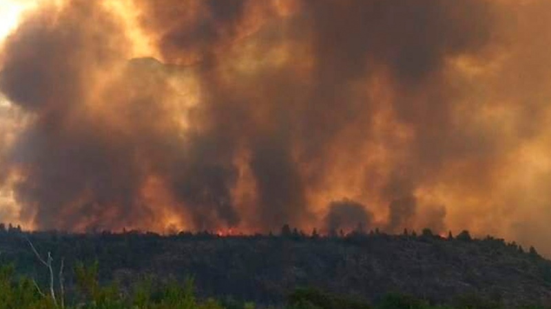 Se registran cuatro focos activos de incendios en las Islas del Ibicuy