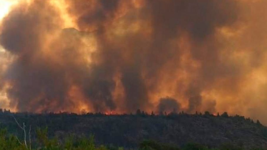 INTA y la Universidad de Valencia desarrollan estrategia para diagnóstico de daños por incendios
