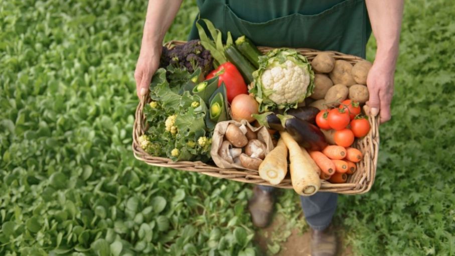 Creció el consumo de verduras agroecológicas durante la pandemia