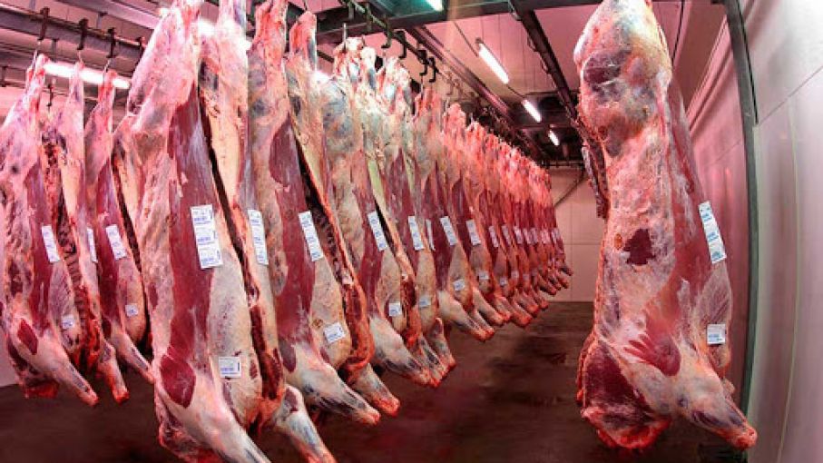 Carne: durante mayo el precio subió 6,1% y las exportaciones cayeron 35 %