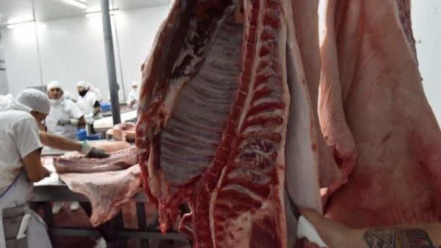 Carne: matarifes advierten por desabastecimiento en los próximos días