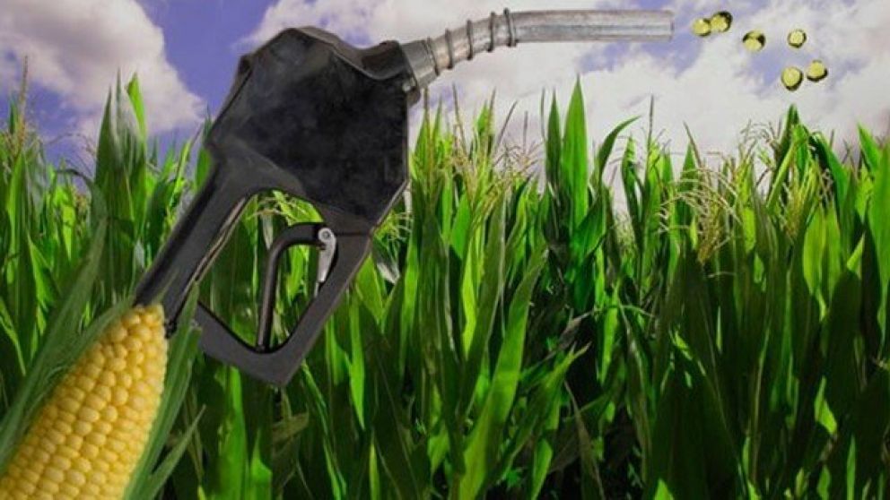 Promulgaron nueva Ley de Biocombustibles