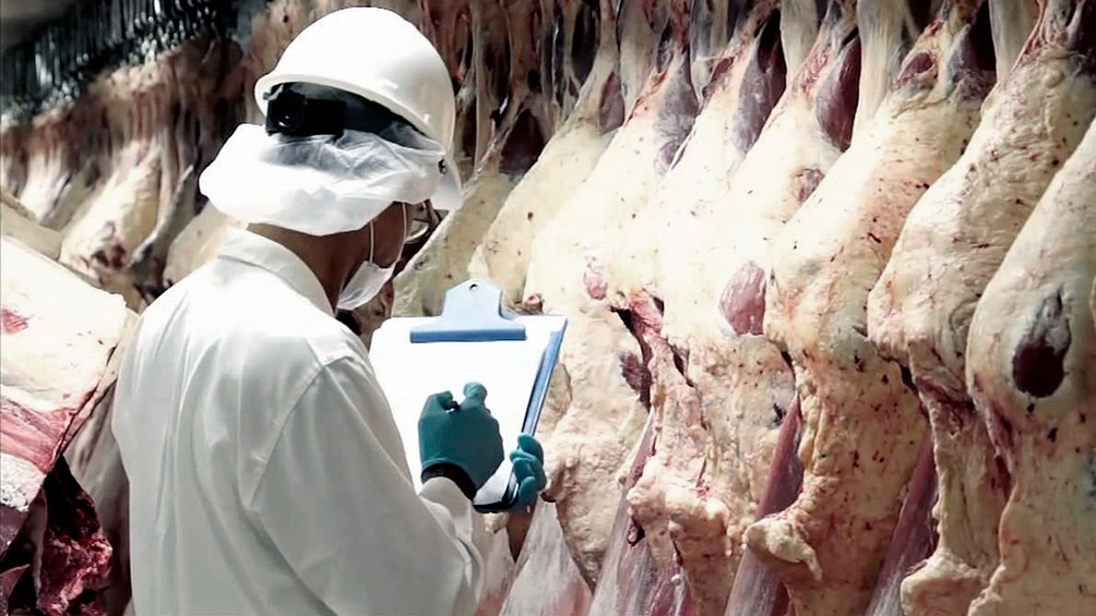 Carne: la restricción provoca una pérdida de U$S 100 millones mensuales