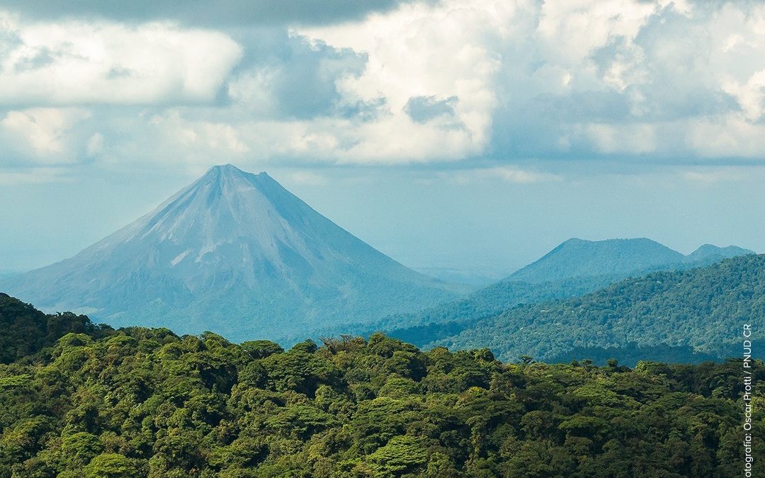 La financiación de la naturaleza debe triplicarse para 2030 para proteger la tierra, la vida silvestre y el clima