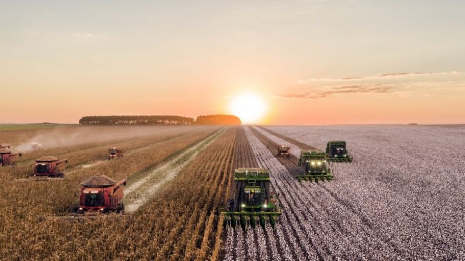 Brasil en alerta de sequía mientras el país enfrenta la peor racha seca en 91 años