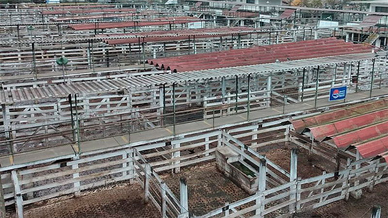 Mesa de Enlace recibirá hoy a representantes de la industria frigorífica bovina