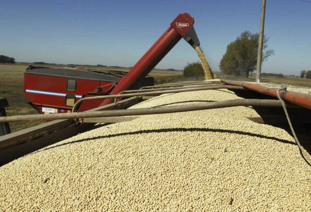 Sequía y divisas: durante el primer bimestre el campo liquidó la menor cifra en 19 años