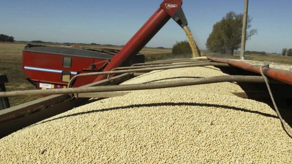 Sequa y divisas: durante el primer bimestre el campo liquid la menor cifra en 19 aos