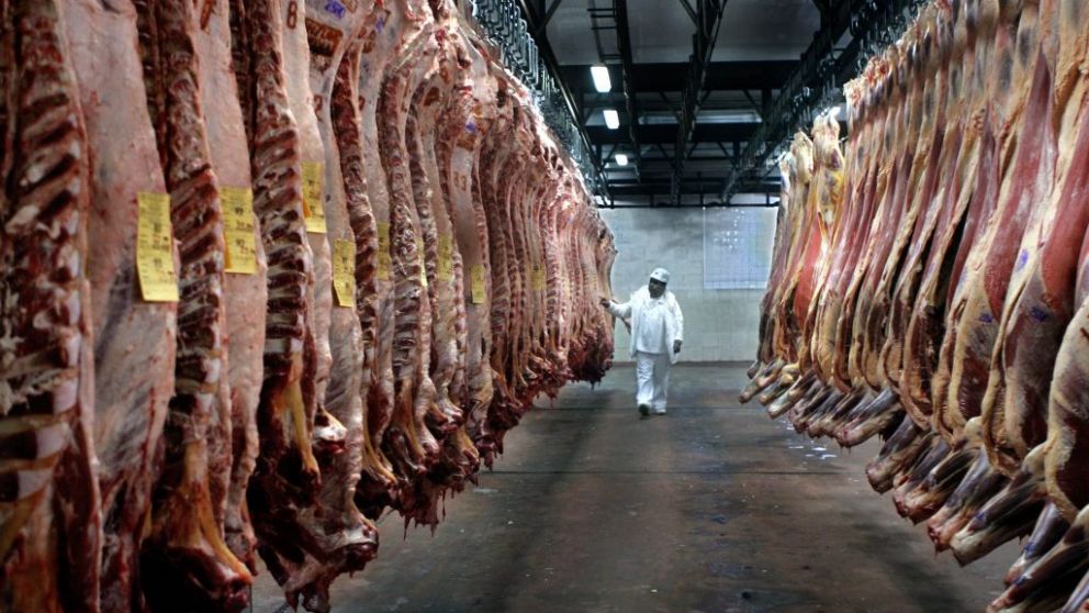 Preocupacin en el sector crnico: "Con este tipo de cambio estamos peor que antes", advierte un frigorfico