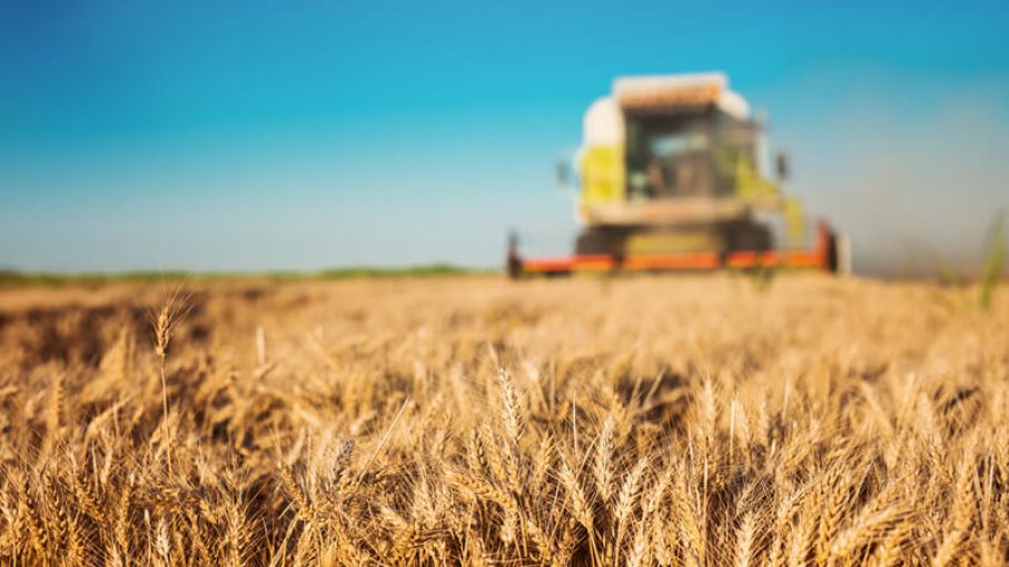 "La Agroindustria Argentina tiene capacidad de responder al desafío energético"