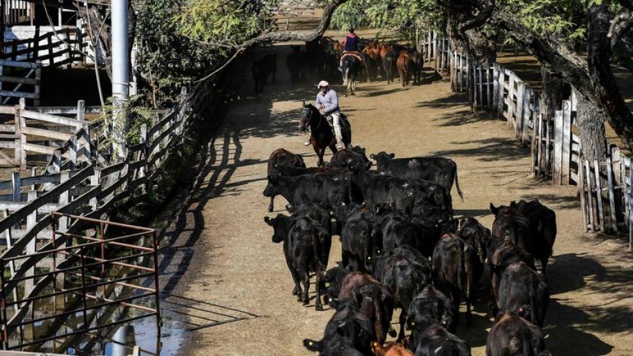 Bajó la hacienda en Liniers