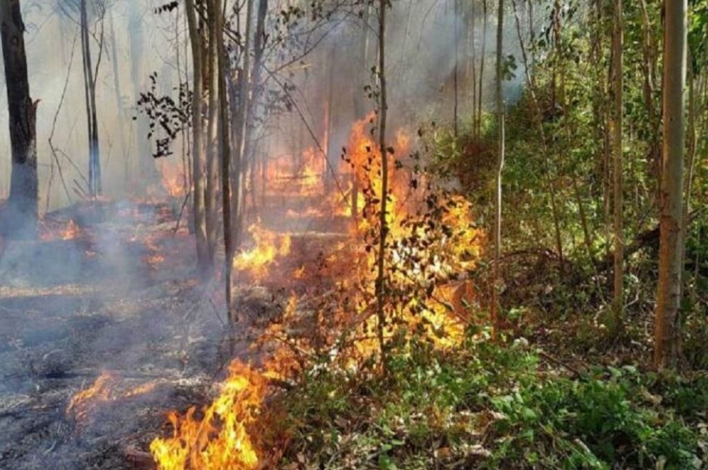 Se registran cuatro focos activos de incendios en Entre Ríos y San Luis