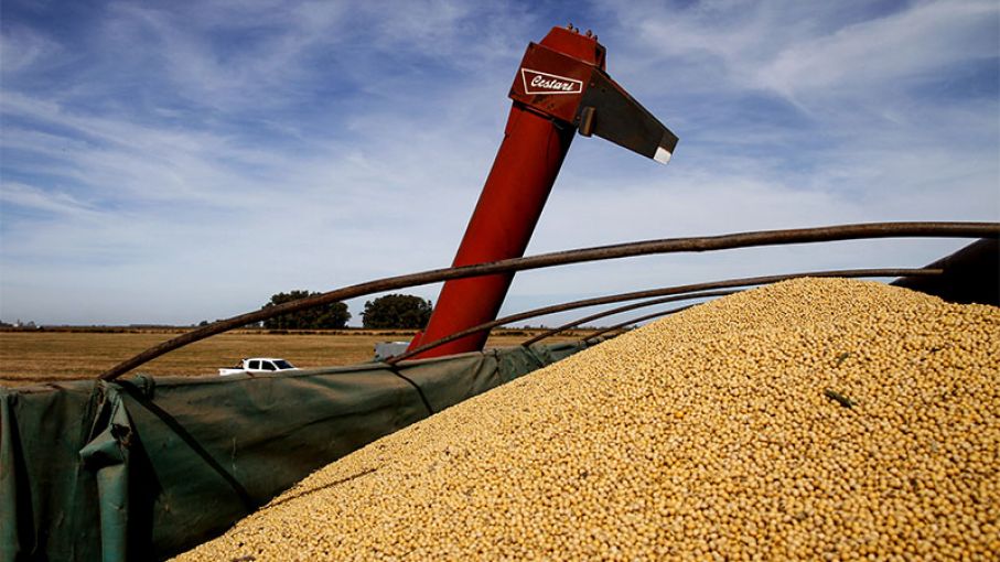 Récord histórico de exportaciones del agro entre enero y mayo