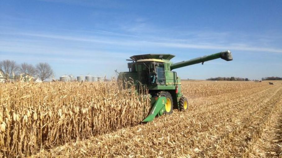 El mercado de granos espera un nuevo informe del USDA