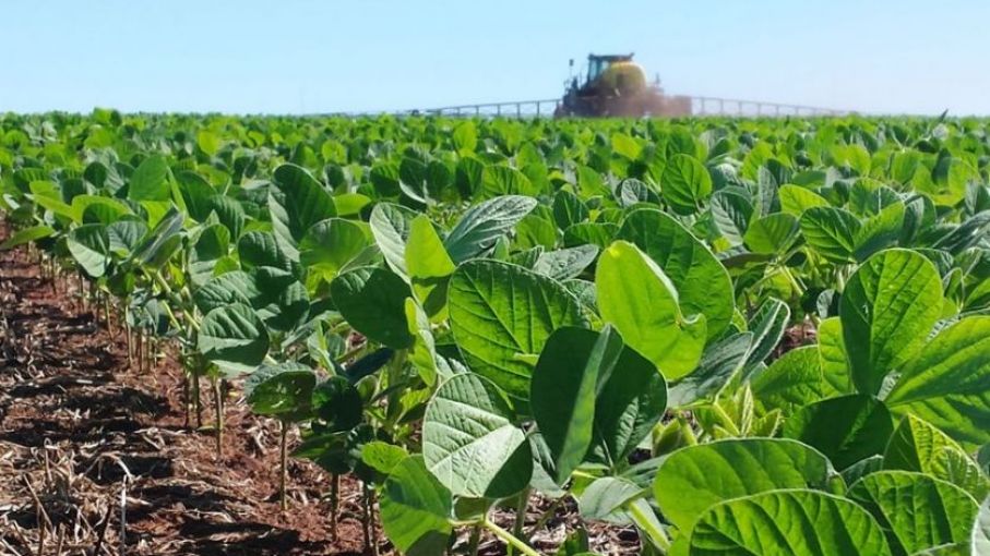 El 87% de lo que rinde una hectárea de soja se lo lleva el Estado en impuestos