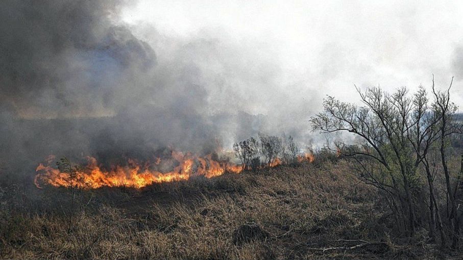 Intervienen en el delta del Paraná luego de detectar nuevos incendios en las islas