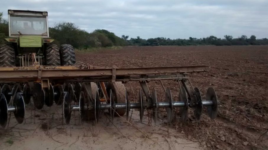Controles a la destrucción de rastrojos del algodón en Chaco