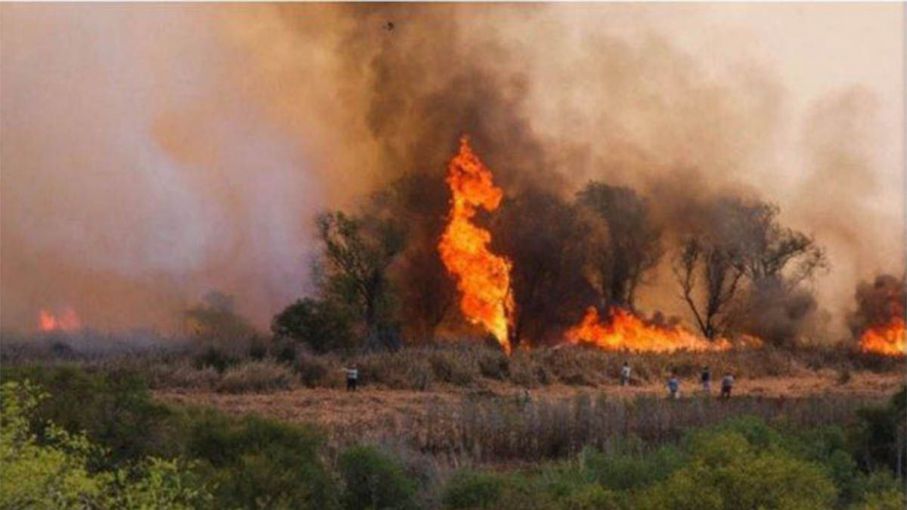Permanece un único foco activo de incendio forestal en el país en la provincia de Santa Fé