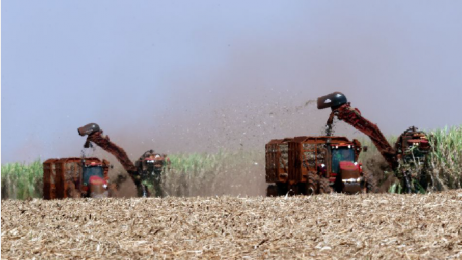 Se espera que Estados Unidos y Brasil limiten la producción de etanol en los próximos meses