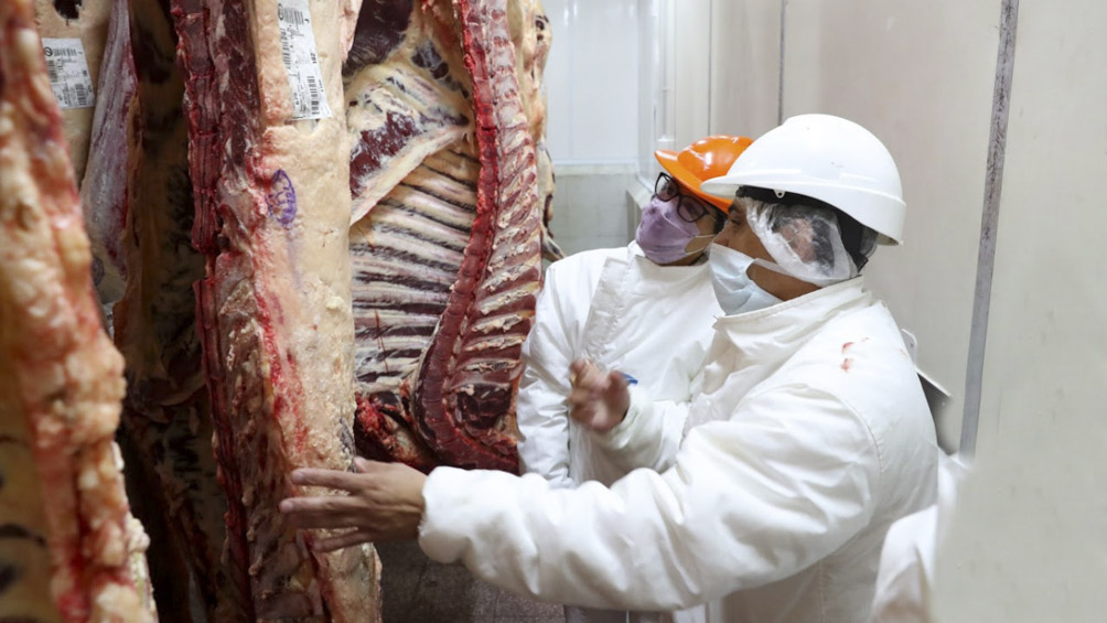 Menos carne: la faena bovina arrancó el 2025 en baja